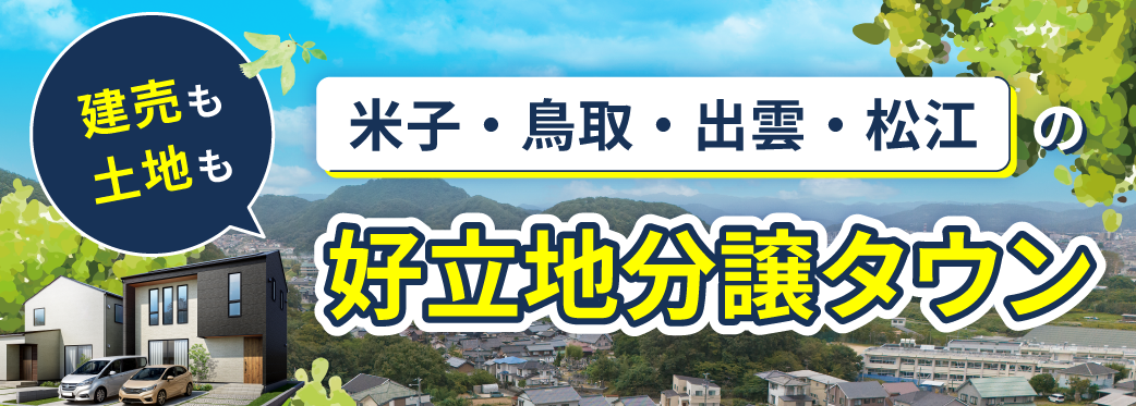 好立地分譲タウン